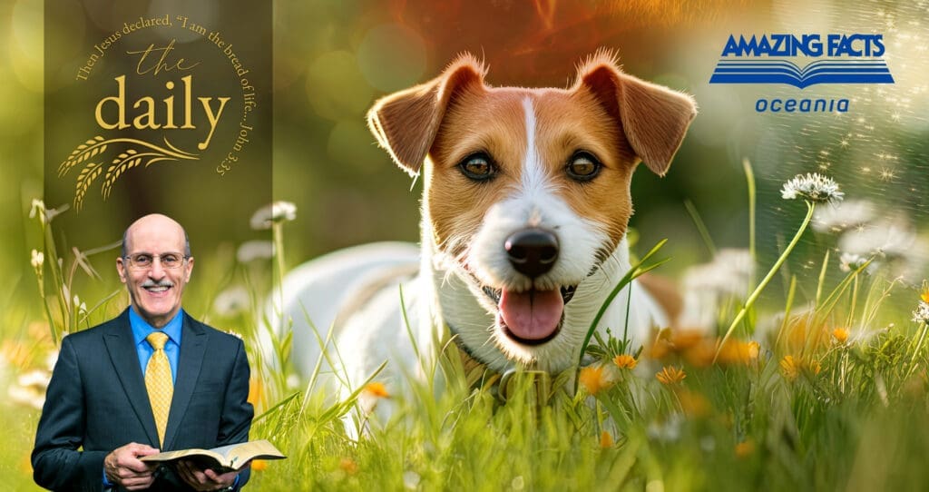 Ananias Of Damascus Amazing Facts Oceania