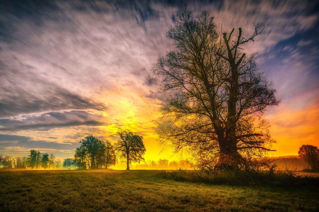 When is the Rapture Coming?